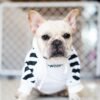 Fresh Pawz Woof Dog Hoodie