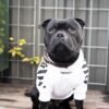 Fresh Pawz Woof Dog Hoodie