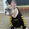 Fresh Pawz Woof Dog Hoodie