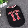 All-Star Number 11 Pet Jersey