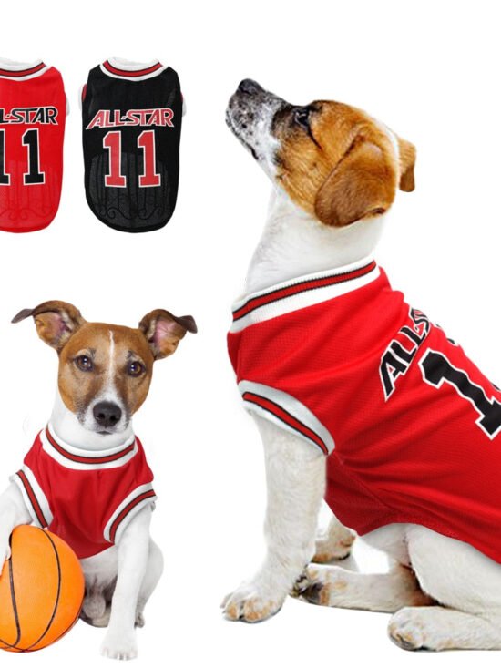 All-Star Number 11 Pet Jersey