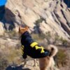 Fresh Pawz Woof Dog Hoodie