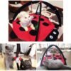 Black Ladybug Cat Play Mat