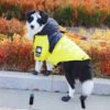 The Dog Face Windproof Waterproof Reflective Pet Cat Dog Jacket