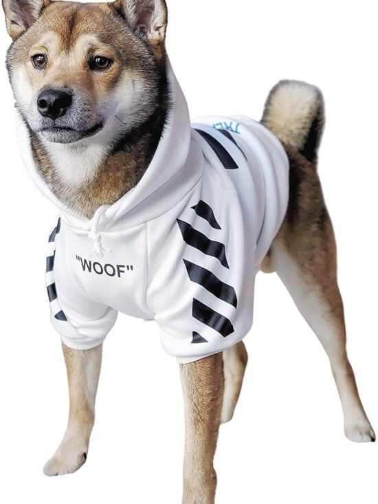 Fresh Pawz Woof Dog Hoodie