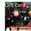 Furr-Baby Gifts - Gift Card