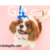 Furr-Baby Gifts - Gift Card