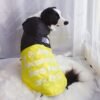 The Dog Face Windproof Waterproof Reflective Pet Cat Dog Jacket