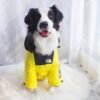 The Dog Face Windproof Waterproof Reflective Pet Cat Dog Jacket