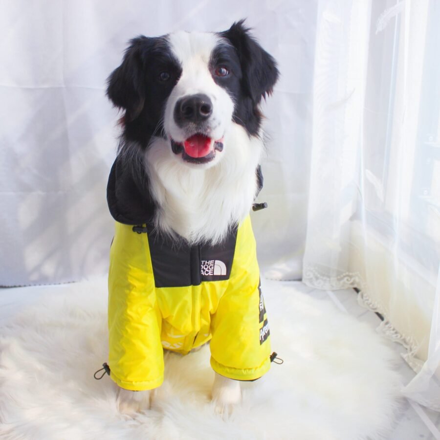 The Dog Face Windproof Waterproof Reflective Pet Cat Dog Jacket
