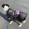 The Dog Face Windproof Waterproof Reflective Pet Cat Dog Jacket