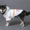 The Dog Face Windproof Waterproof Reflective Pet Cat Dog Jacket