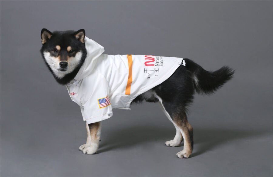 The Dog Face Windproof Waterproof Reflective Pet Cat Dog Jacket