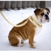 Kilo Cuban Link | Leash