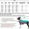 Adidog Hoodie | Small to Medium Dogs