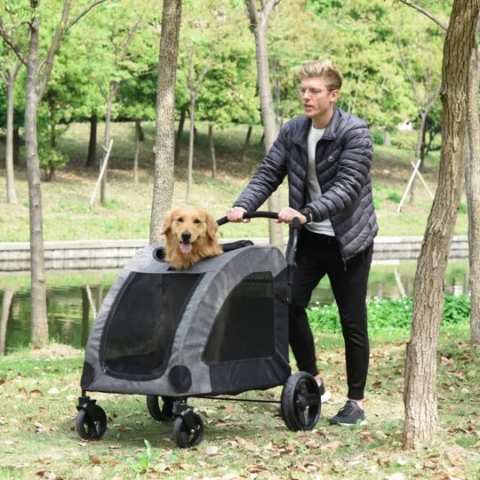 Foldable Pet Stroller with Storage Pocket