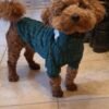 Winter Warm Knitted Turtleneck Sweater for Small Dogs or Cats