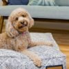 Lounger Pet Bed in Sapphire Spaniel
