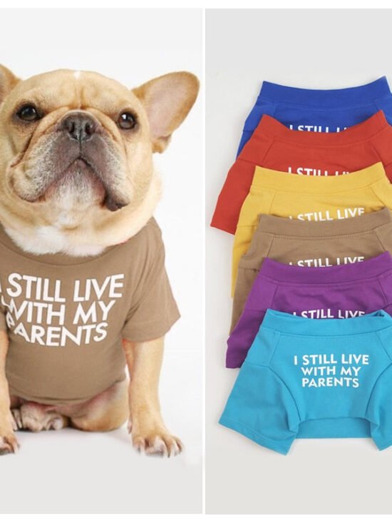 I Still Live With My Parents T-Shirt