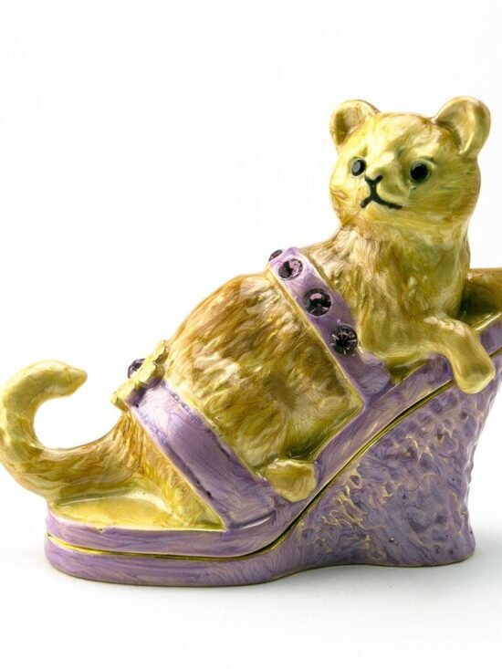 Cat sitting on an Evening Shoe