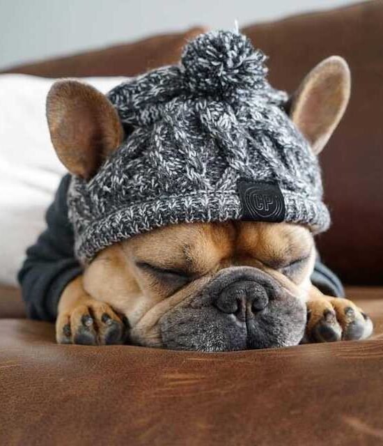 Autumn Winter Warm Knitted Pet Hats With Fluffy Ball