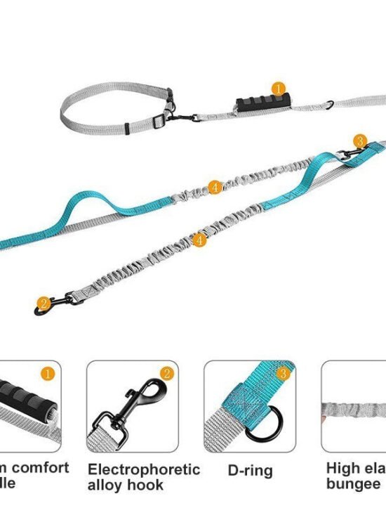 Multifunctional Handsfree Bungee Dog Leash