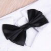 Handsome Stylish Pet Suit with Bow Tie