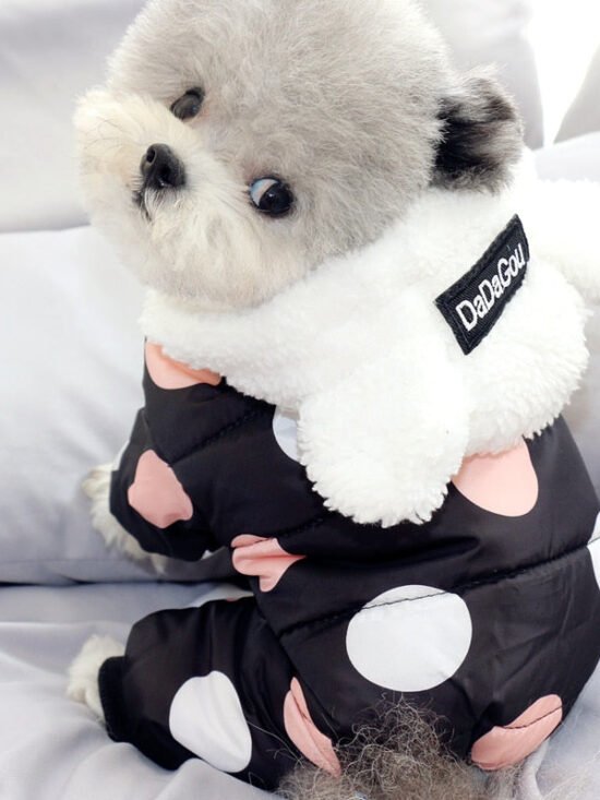 Big Polka Dot Snowsuit Jumpsuit