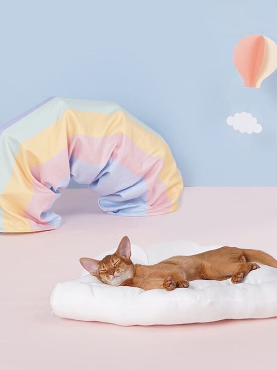 Collapsible Removable Cat Tunnel Tube With Cat Bed Set