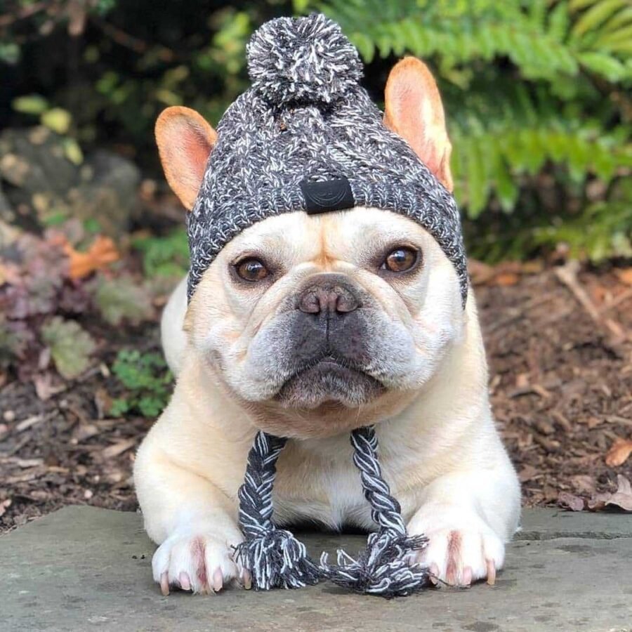 Autumn Winter Warm Knitted Pet Hats With Fluffy Ball