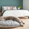 Round Pet Bed in Sapphire Spaniel