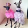 Haute Couture Feathered Luxury Pet Sweater